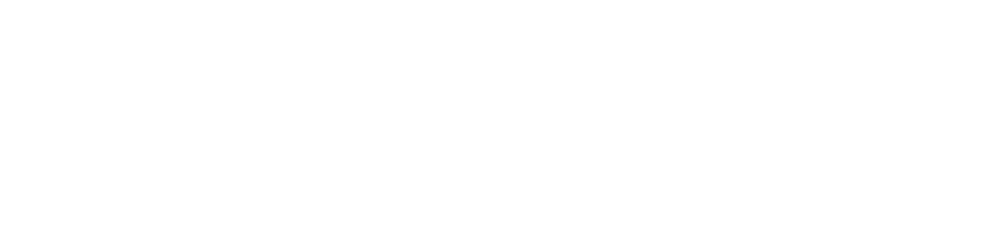 Enigma Scaffold